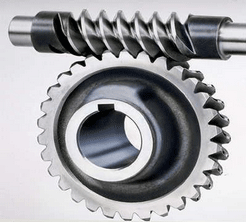 Worm Gear